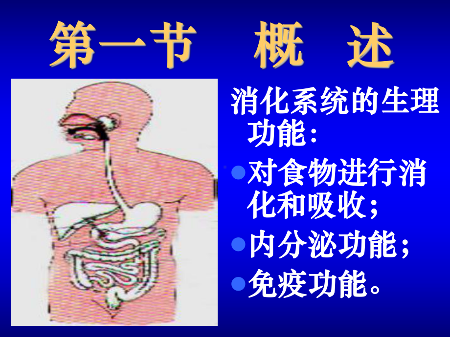 七年级生物 消化和吸收.ppt_第2页