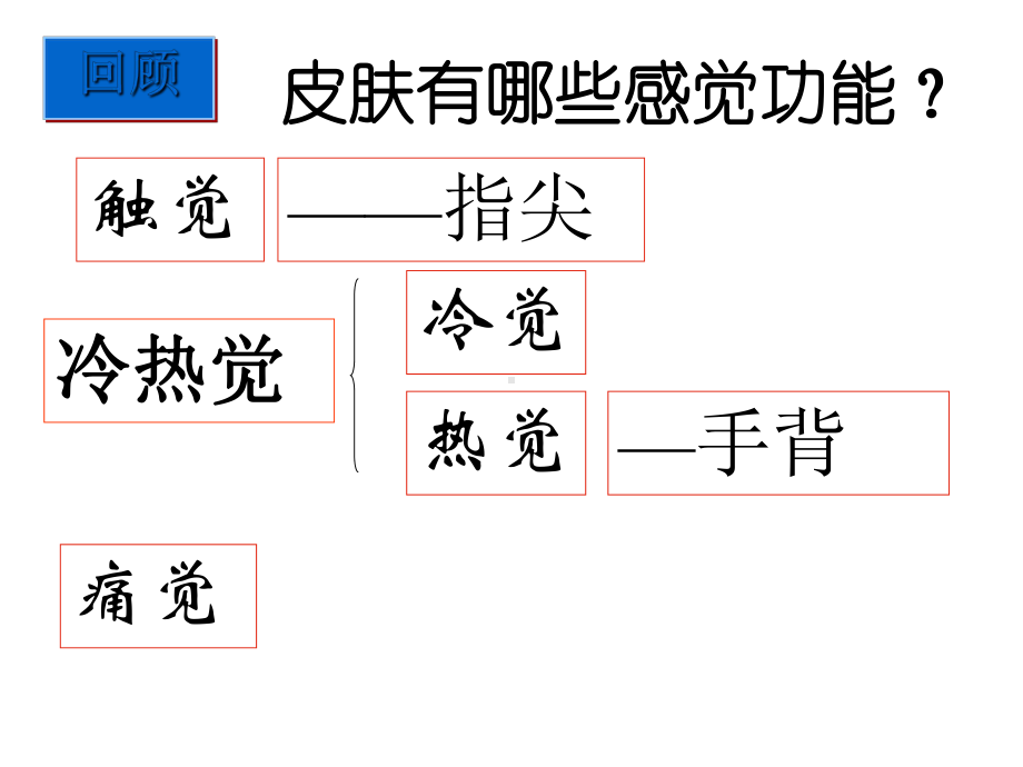 浙教版科学《感觉世界》优秀课件3.ppt_第2页