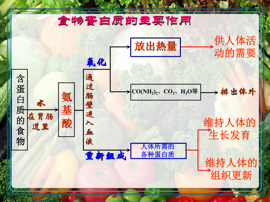 重要的营养物质-初中九年级化学上册课件.ppt_第3页