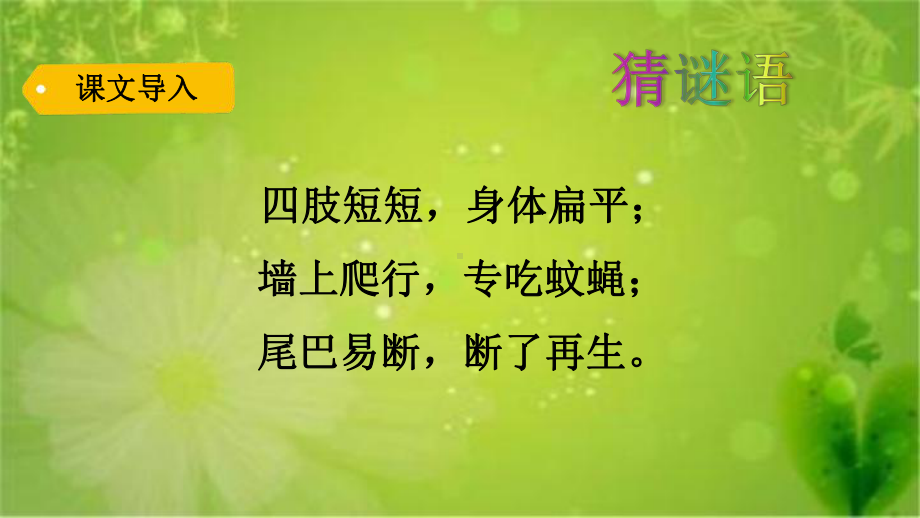 部编版教材小壁虎借尾巴实用课件1.pptx_第1页