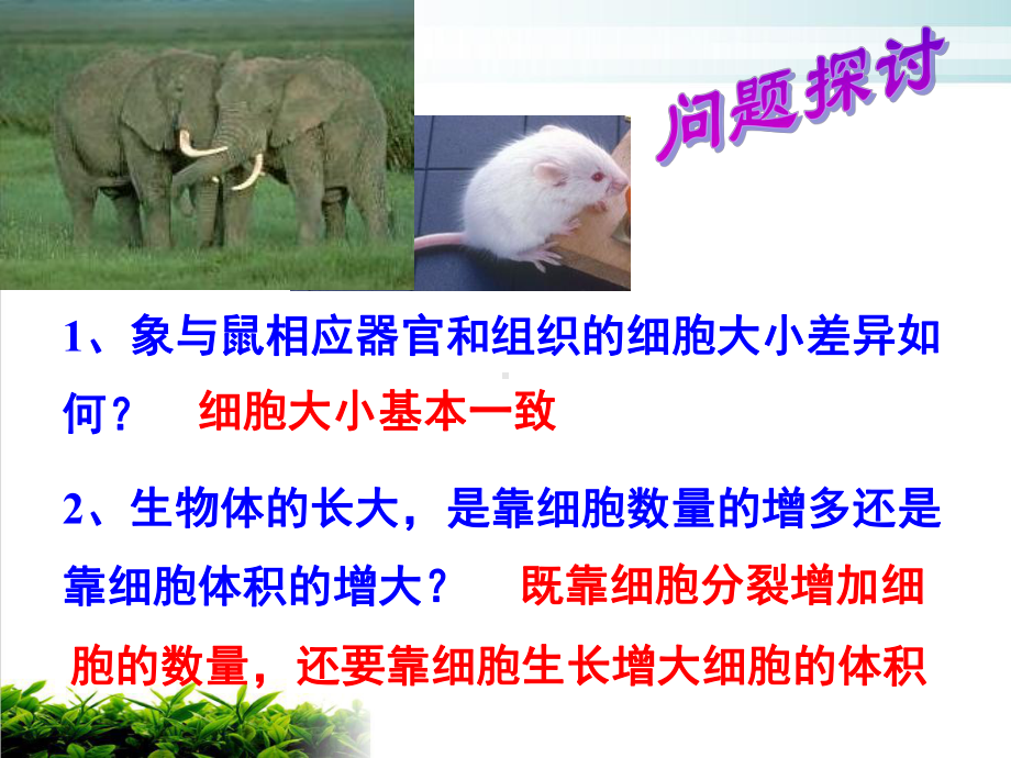 新人教版必修一生物细胞的增殖课时完整版课件.ppt_第3页