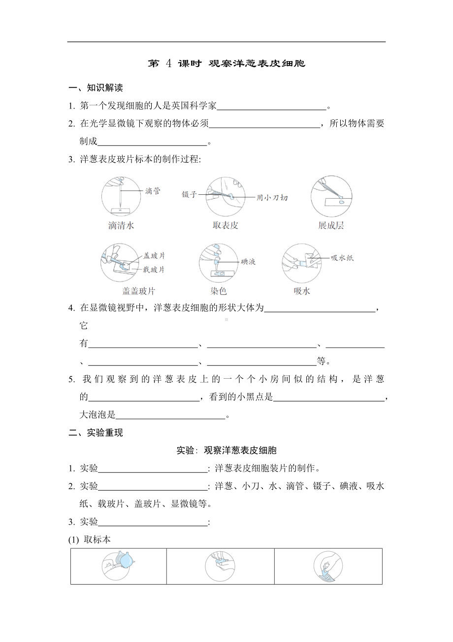 第一单元　 微小世界第 4 课时 观察洋葱表皮细胞 同步学案（原卷版）.docx_第1页