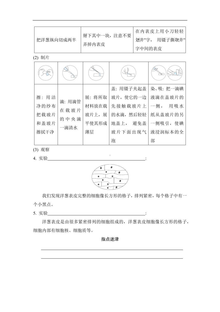 第一单元　 微小世界第 4 课时 观察洋葱表皮细胞 同步学案（原卷版）.docx_第2页