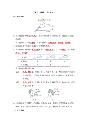 第一单元　 微小世界第 1 课时 放大镜 同步学案 （答案版）.docx