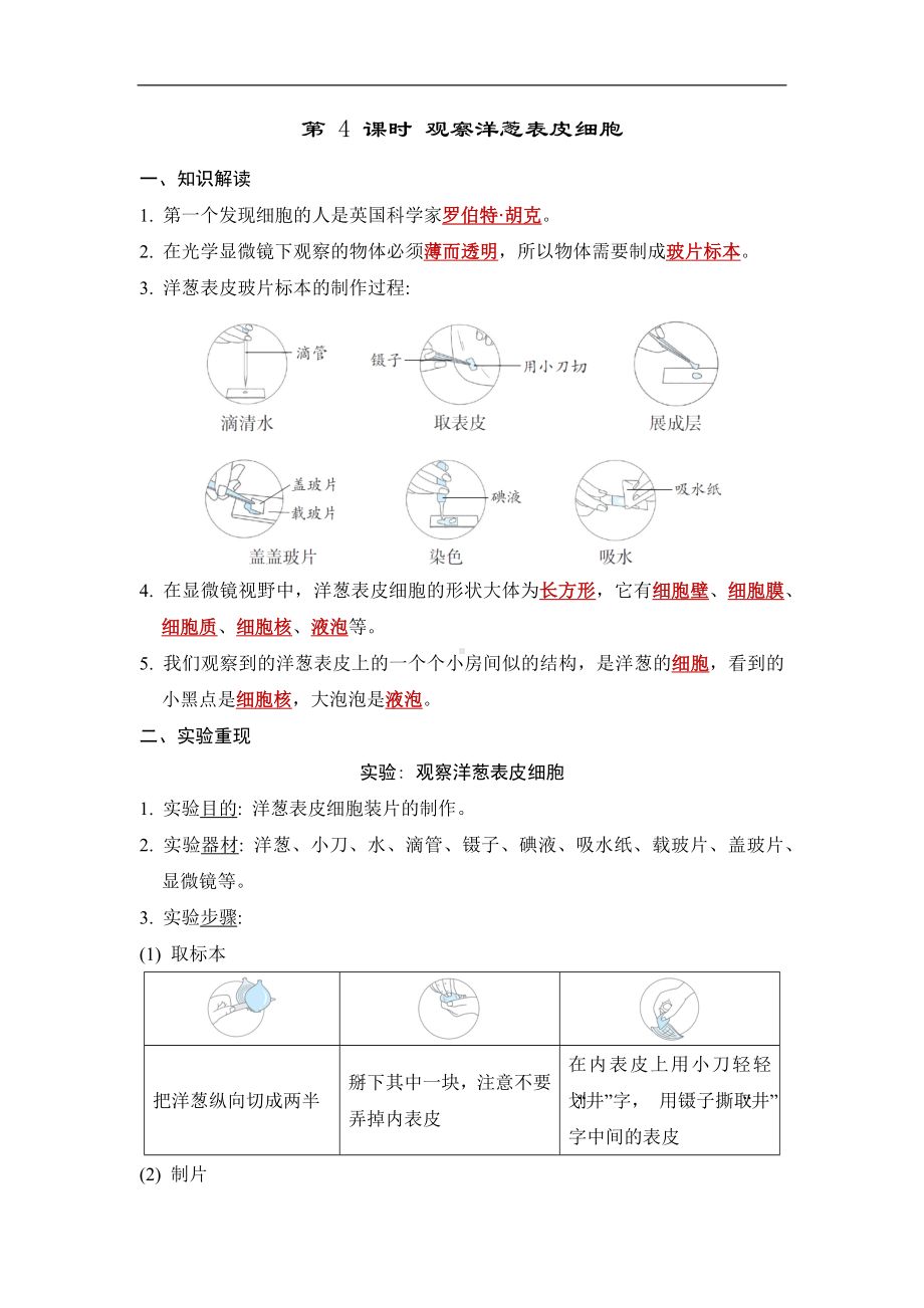 第一单元　 微小世界第 4 课时 观察洋葱表皮细胞 同步学案 （答案版）.docx_第1页