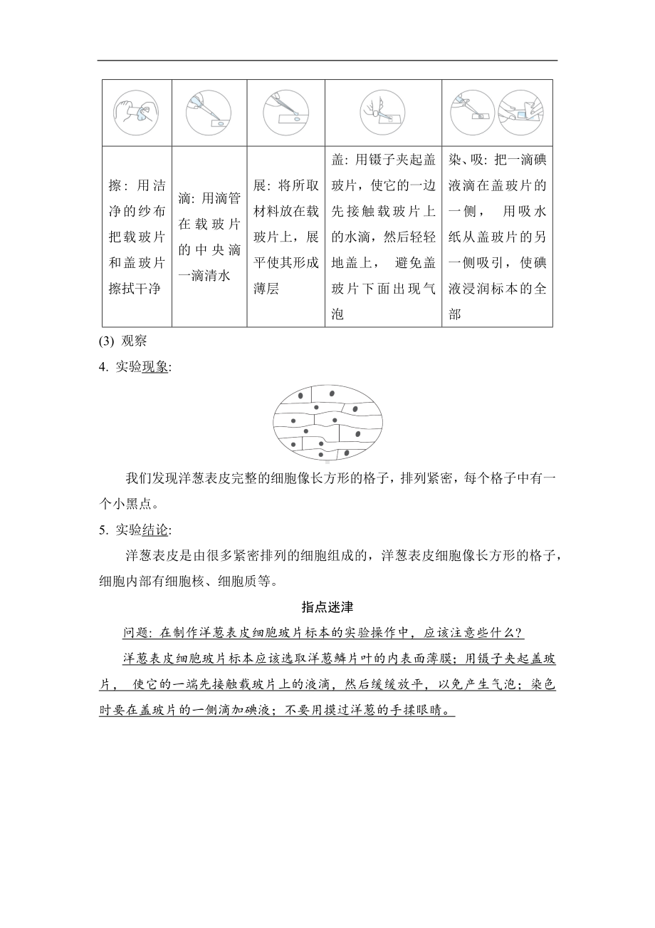 第一单元　 微小世界第 4 课时 观察洋葱表皮细胞 同步学案 （答案版）.docx_第2页