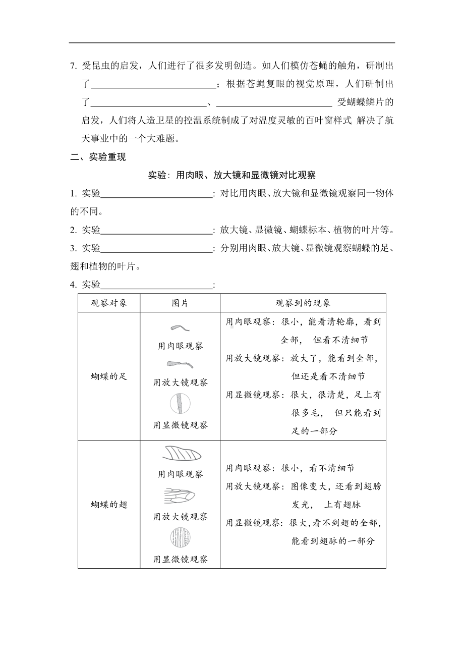 第一单元　 微小世界第 3 课时 观察身边微小的物体 同步学案（原卷版）.docx_第2页