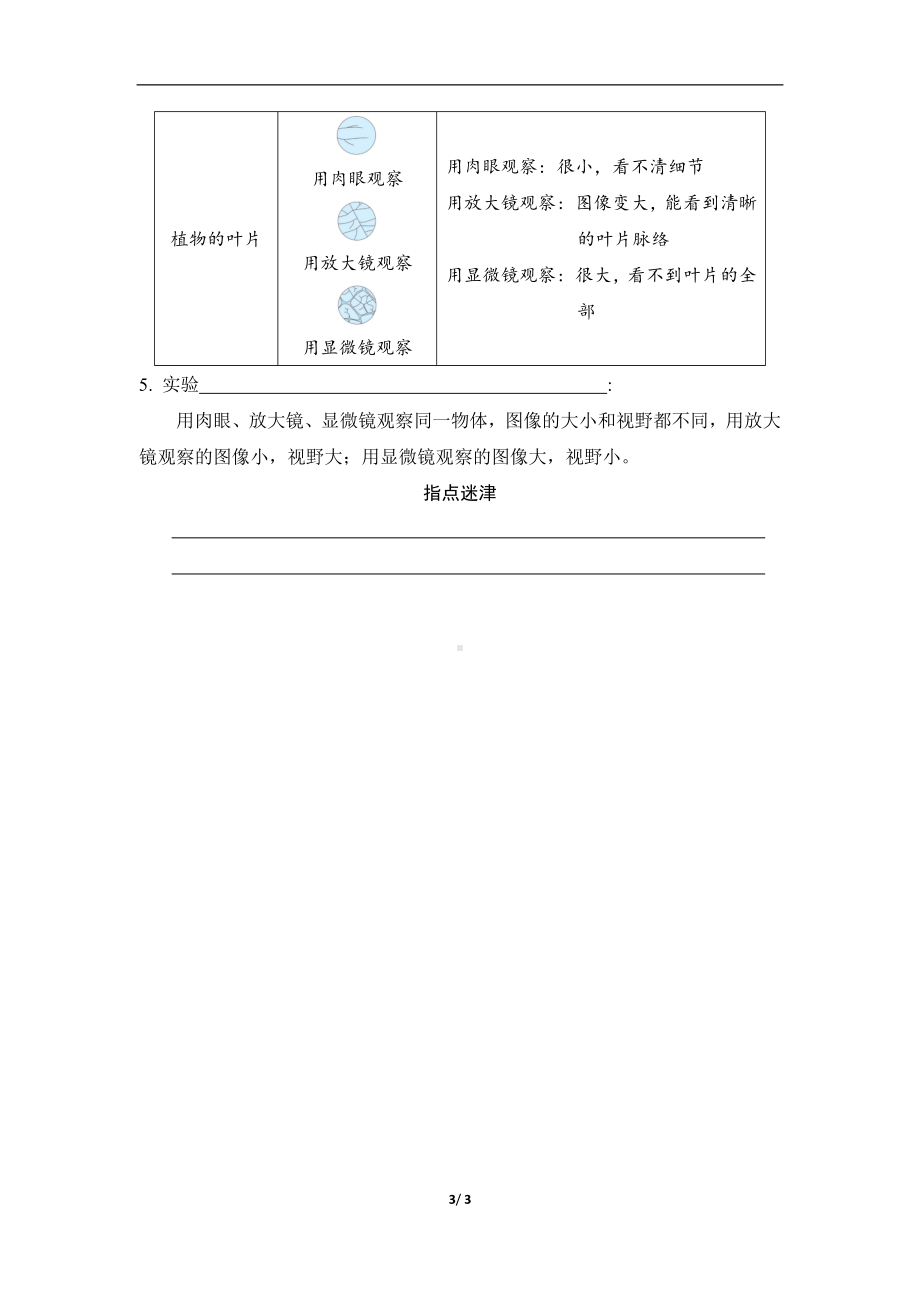 第一单元　 微小世界第 3 课时 观察身边微小的物体 同步学案（原卷版）.docx_第3页