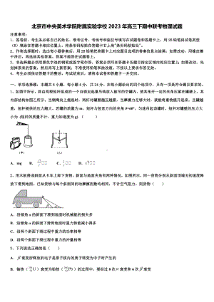 北京市中央美术学院附属实验学校2023年高三下期中联考物理试题.doc