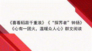 4.《喜看稻菽千重浪》《心有一团火温暖众人心》《“探界者”钟扬》群文阅读 ppt课件26张 -（部）统编版《高中语文》必修上册.pptx