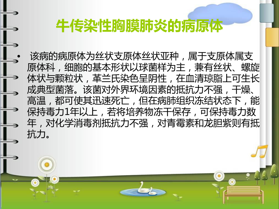 牛传染性胸膜肺炎的防止.ppt_第2页