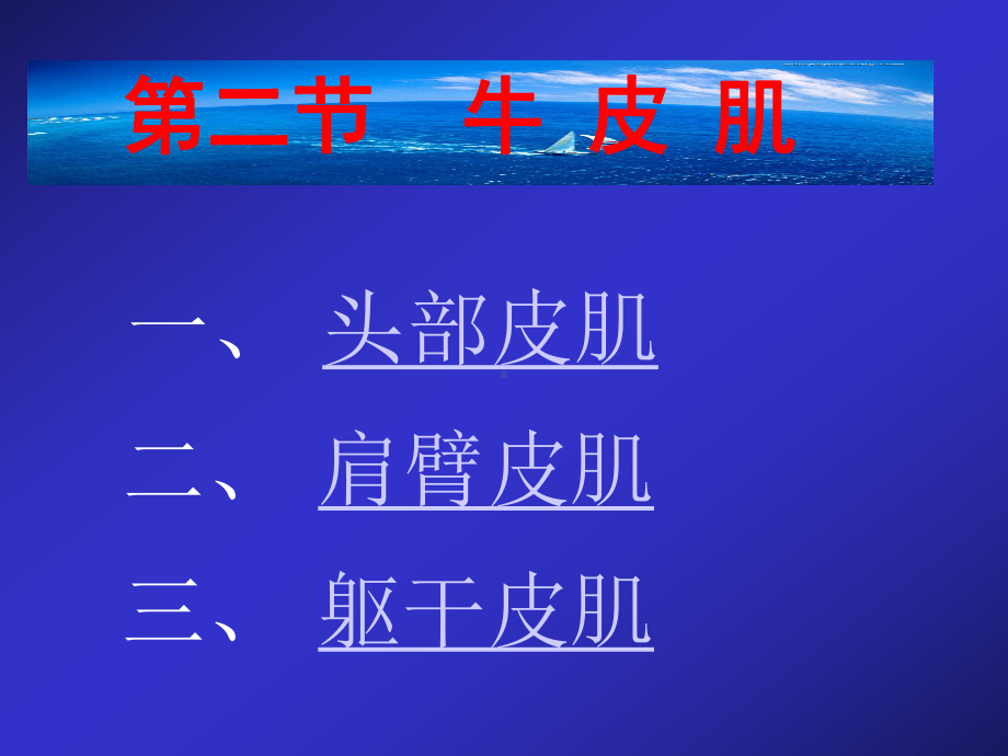 牛的前肢肌05.ppt_第3页