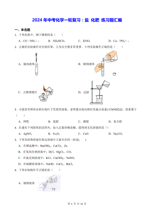 2024年中考化学一轮复习：盐 化肥 练习题汇编（含答案解析）.docx