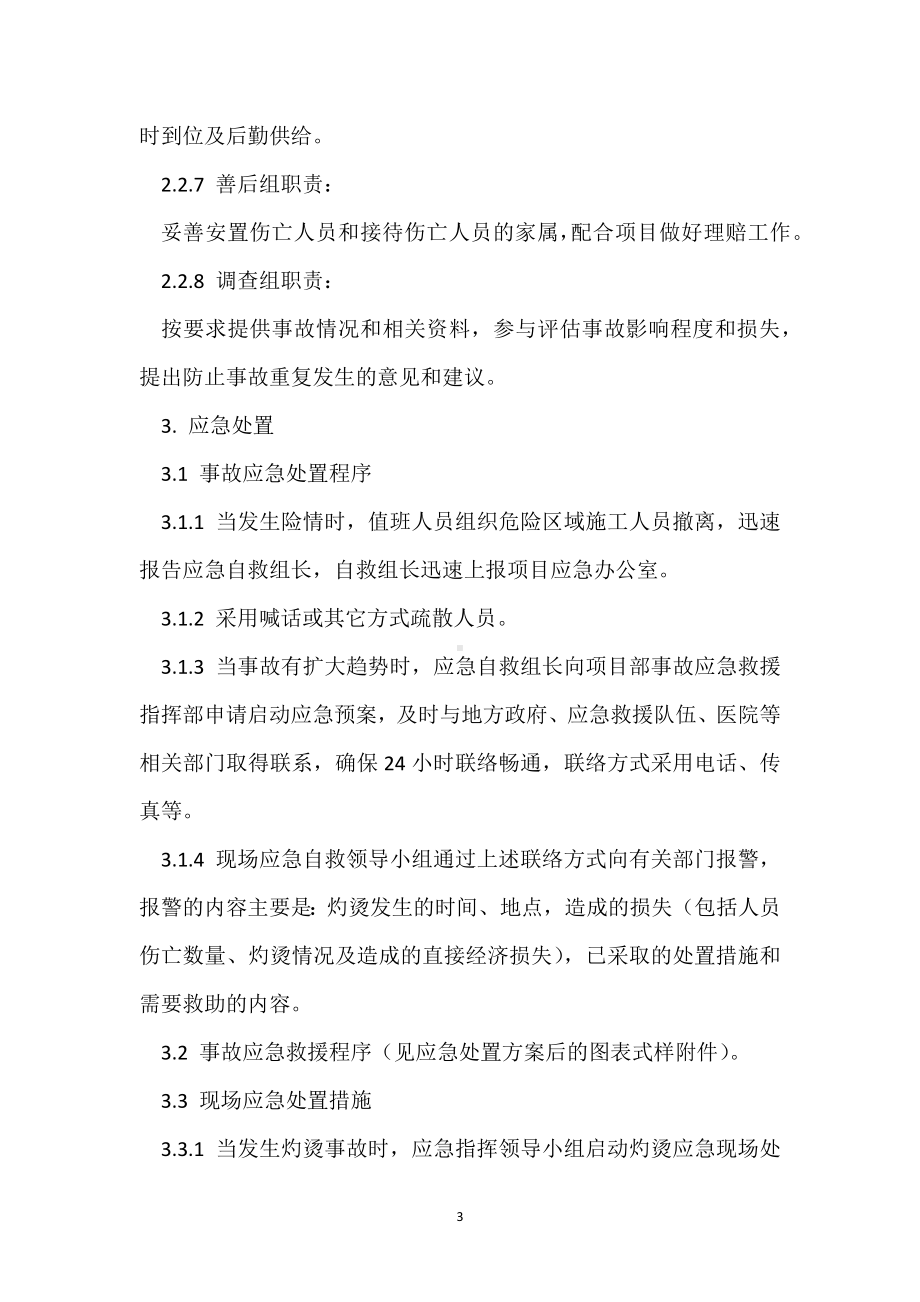 灼烫事故处置方案模板范本.docx_第3页