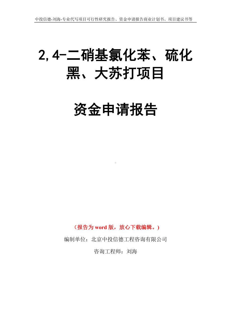 2,4-二硝基氯化苯、硫化黑、大苏打项目资金申请报告模板.doc_第1页