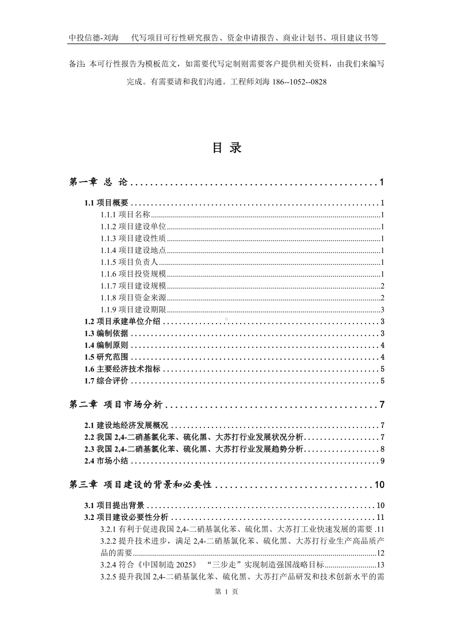 2,4-二硝基氯化苯、硫化黑、大苏打项目资金申请报告模板.doc_第2页