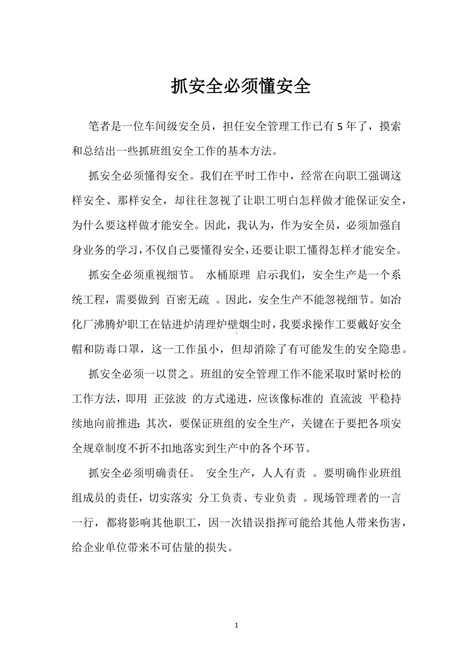 抓安全必须懂安全模板范本.docx_第1页