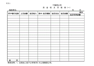 子公司资金报表格式.xls