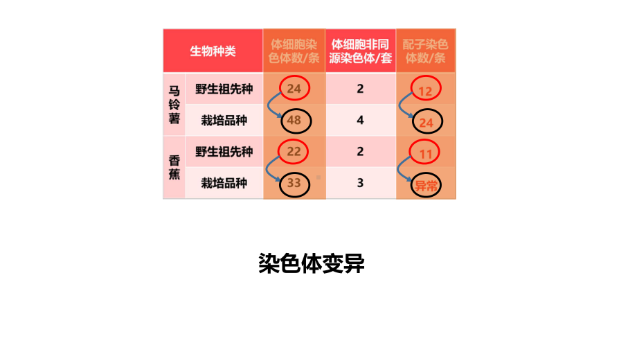 5.2染色体变异ppt课件(同名3)-2023新人教版(2019）《高中生物》必修第二册.pptx_第3页