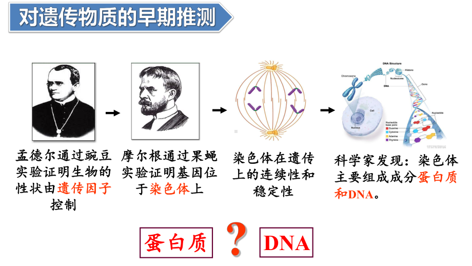 3.1DNA是主要的遗传物质ppt课件- -2023新人教版(2019）《高中生物》必修第二册.pptx_第2页