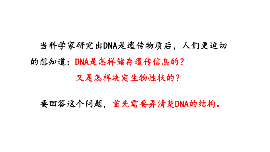 3.2 DNA的结构ppt课件-2023新人教版(2019）《高中生物》必修第二册.pptx_第3页