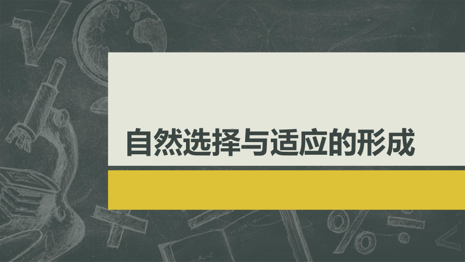 2.6.2自然选择与适应的形成ppt课件-2023新人教版(2019）《高中生物》必修第二册.pptx_第1页