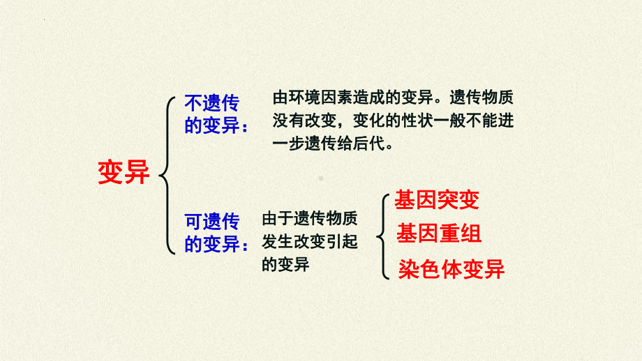 5.1基因突变和基因重组ppt课件2(同名1)-2023新人教版(2019）《高中生物》必修第二册.pptx_第2页