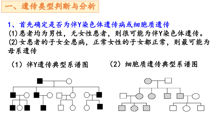 2.3 伴性遗传的解题方法ppt课件-2023新人教版(2019）《高中生物》必修第二册.pptx_第2页