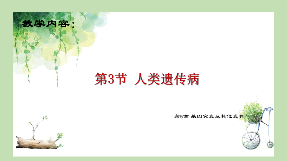 5.3 人类遗传病ppt课件-2023新人教版(2019）《高中生物》必修第二册.pptx_第1页