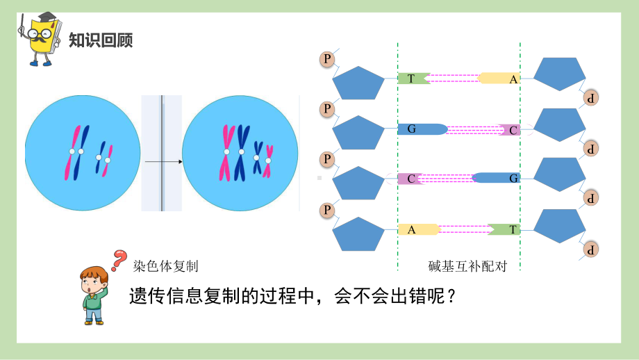 5.3 人类遗传病ppt课件-2023新人教版(2019）《高中生物》必修第二册.pptx_第2页