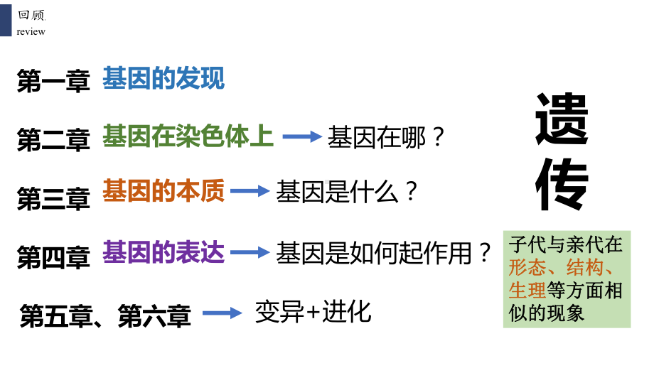 5.1 基因突变和基因重组ppt课件(同名1)-2023新人教版(2019）《高中生物》必修第二册.pptx_第1页