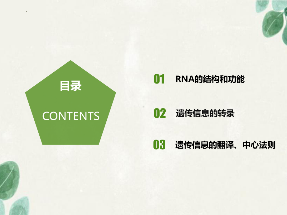 3.4.1基因指导蛋白质的合成 ppt课件-2023新人教版(2019）《高中生物》必修第二册.pptx_第3页