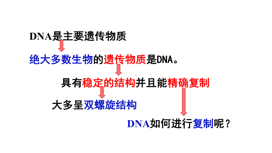 生物一轮复习ppt课件：3.2 DNA的复制 -2023新人教版(2019）《高中生物》必修第二册.pptx_第2页