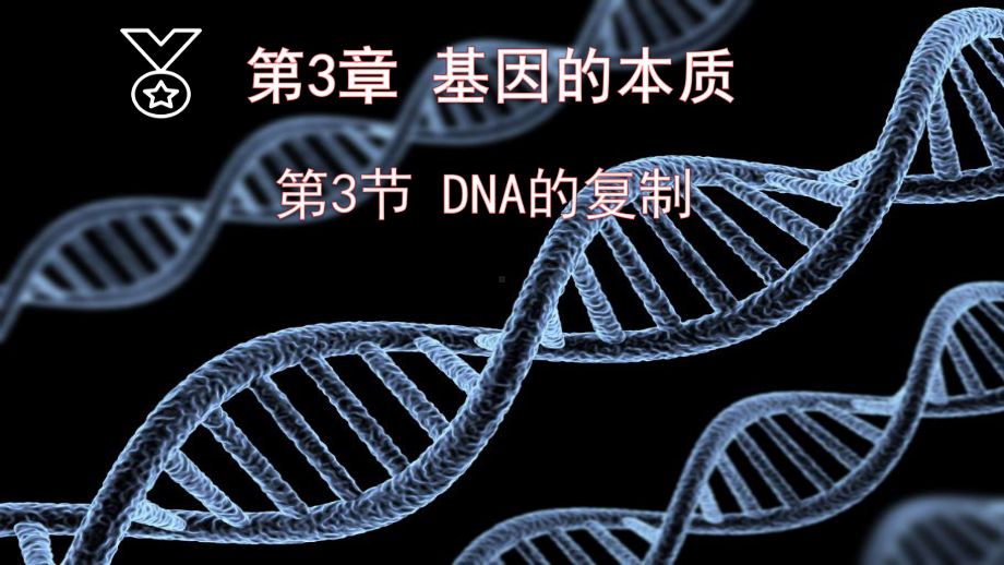 生物一轮复习ppt课件：3.2 DNA的复制 -2023新人教版(2019）《高中生物》必修第二册.pptx_第3页