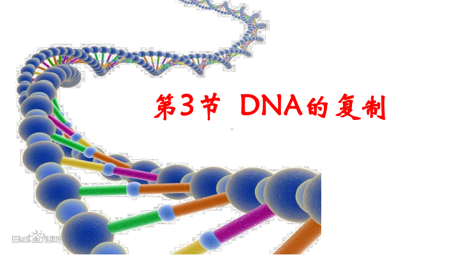 3.3DNA的复制ppt课件(同名3)-2023新人教版(2019）《高中生物》必修第二册.pptx_第1页