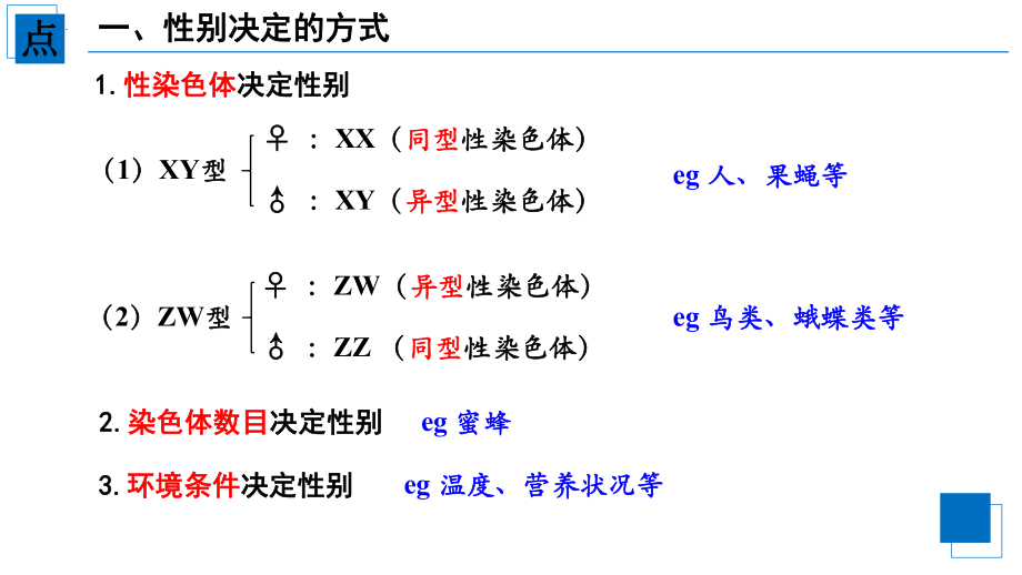 2.3伴性遗传ppt课件(同名002)-2023新人教版(2019）《高中生物》必修第二册.pptx_第3页