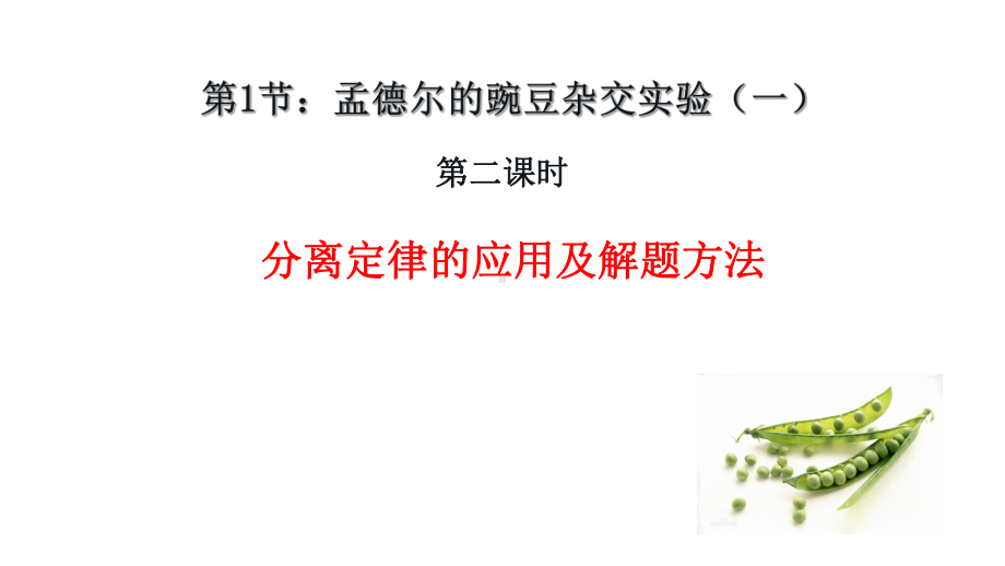 1.1孟德尔的豌豆杂交实验(一）第二课时ppt课件-2023新人教版(2019）《高中生物》必修第二册.ppt_第1页