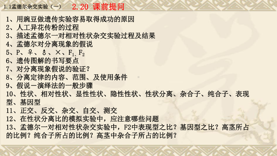 1.1孟德尔的豌豆杂交实验(一）第二课时ppt课件-2023新人教版(2019）《高中生物》必修第二册.ppt_第2页