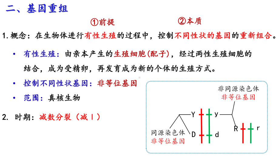 5.1 基因突变和基因重组 第2课时ppt课件-2023新人教版(2019）《高中生物》必修第二册.pptx_第3页