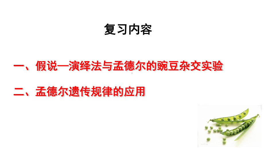 第一章遗传因子的发现复习ppt课件-2023新人教版(2019）《高中生物》必修第二册.pptx_第2页