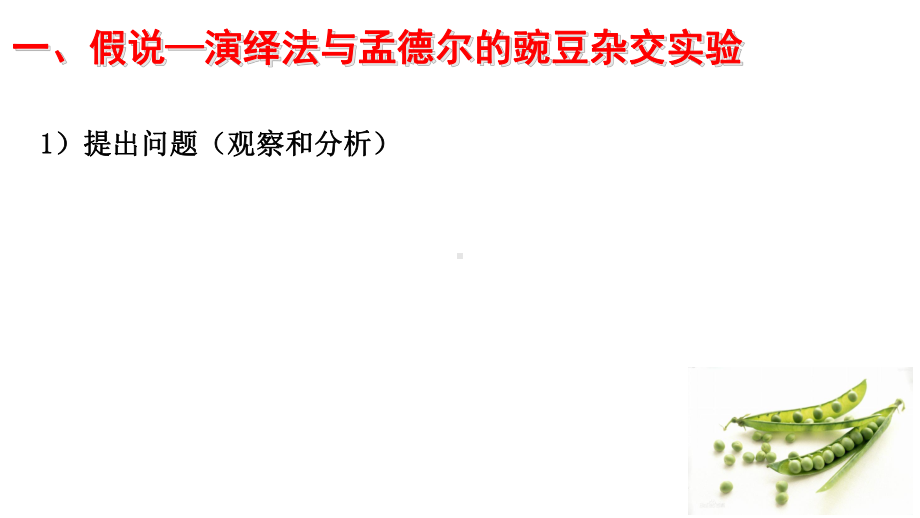 第一章遗传因子的发现复习ppt课件-2023新人教版(2019）《高中生物》必修第二册.pptx_第3页