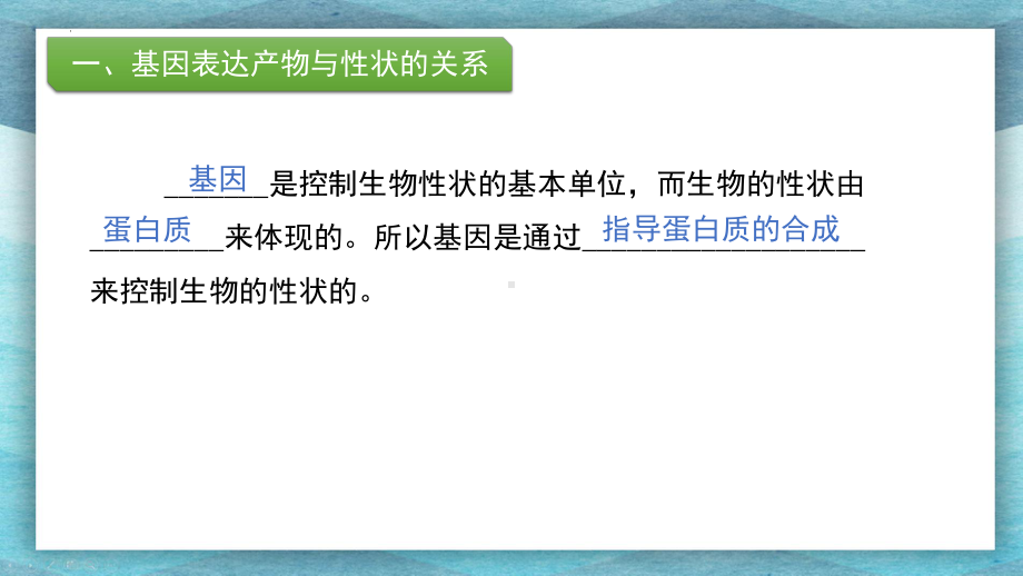 4.2 基因表达与性状的关系ppt课件--2023新人教版(2019）《高中生物》必修第二册.pptx_第3页