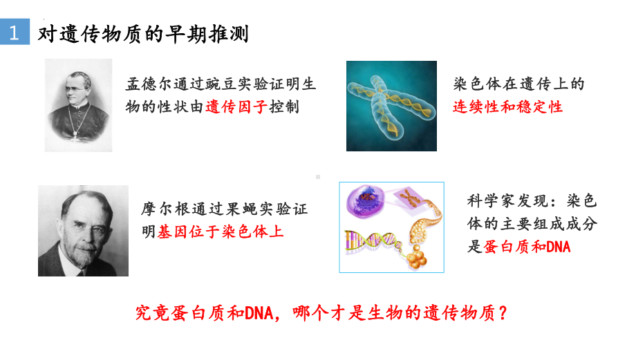 3.1 DNA是主要的遗传物质ppt课件(同名1)-2023新人教版(2019）《高中生物》必修第二册.pptx_第2页