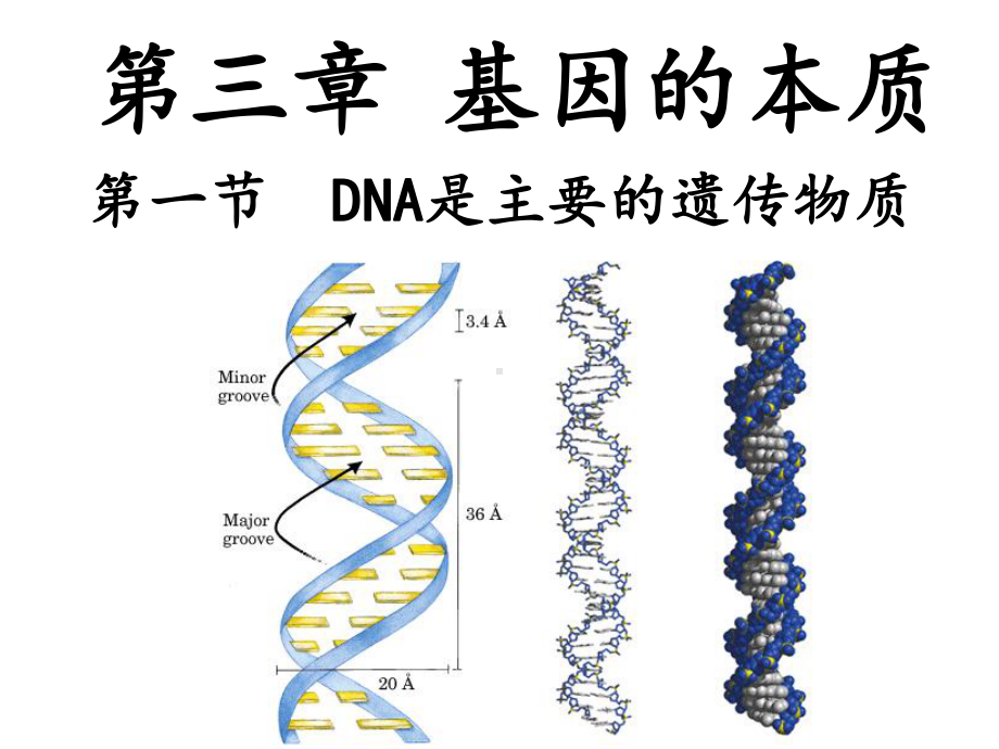 3.1DNA是主要的遗传物质ppt课件(同名3)-2023新人教版(2019）《高中生物》必修第二册.pptx_第1页