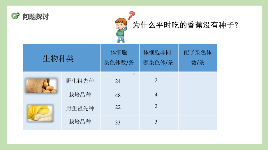 5.2 染色体变异ppt课件-2023新人教版(2019）《高中生物》必修第二册.pptx_第2页