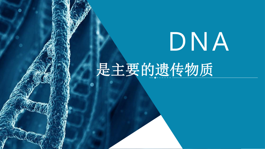 3.1DNA是主要的遗传物质ppt课件(同名4)-2023新人教版(2019）《高中生物》必修第二册.pptx_第1页