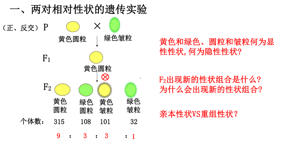 1.2 孟德尔的豌豆杂交实验(二）第一课时ppt课件-2023新人教版(2019）《高中生物》必修第二册.ppt_第3页