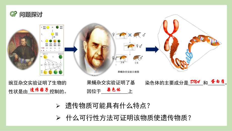 3.1 DNA是主要的遗传物质ppt课件(同名002)-2023新人教版(2019）《高中生物》必修第二册.pptx_第2页