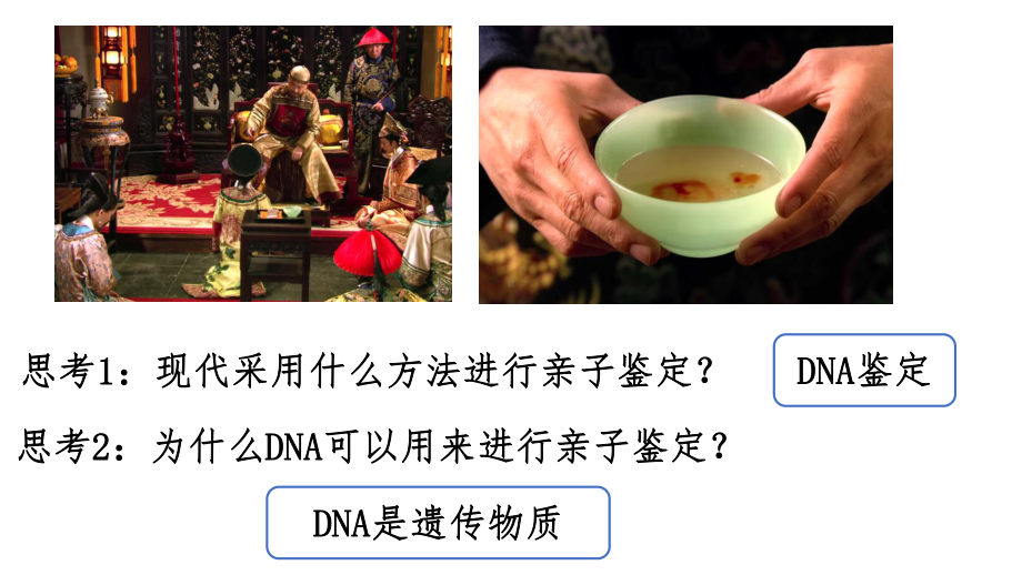 3.1 DNA是主要遗传物质 ppt课件-2023新人教版(2019）《高中生物》必修第二册.pptx_第2页