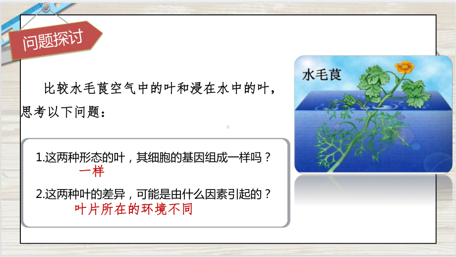 4.2 基因表达与性状的关系ppt课件 (同名2)-2023新人教版(2019）《高中生物》必修第二册.pptx_第3页